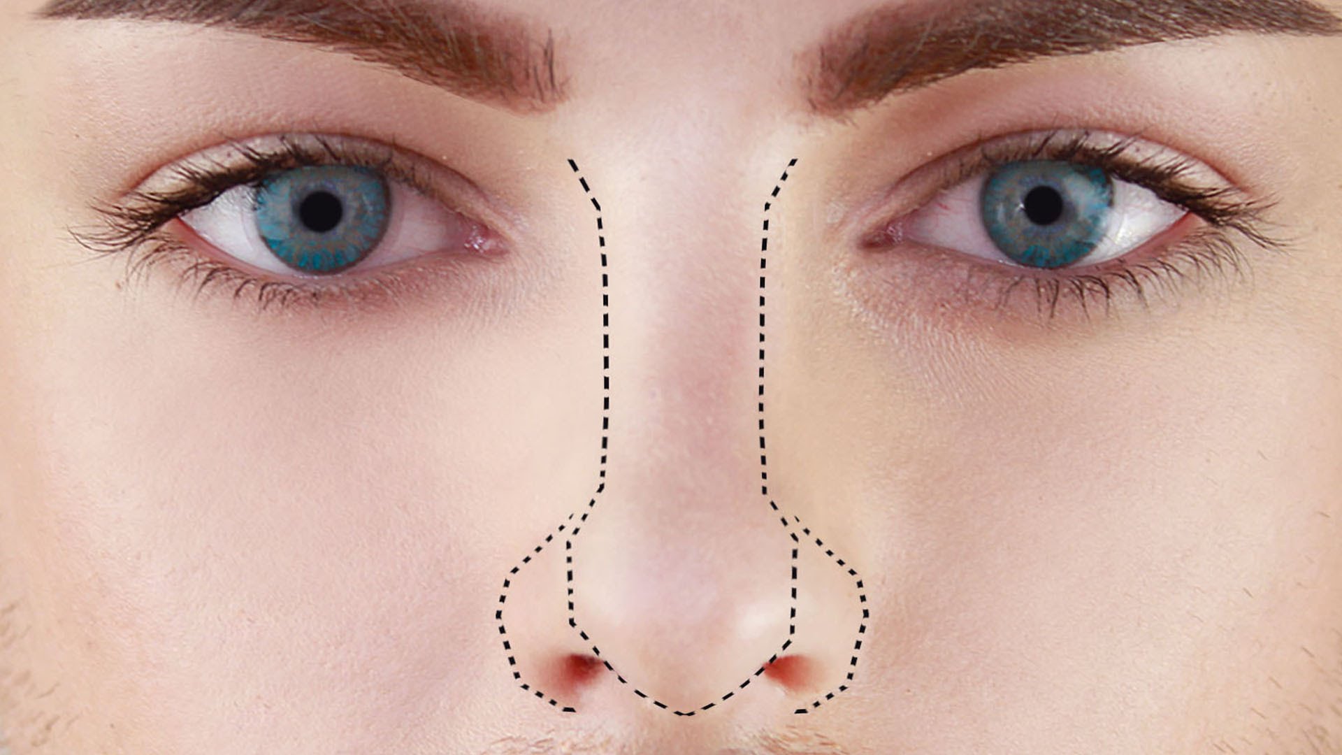 nose outline